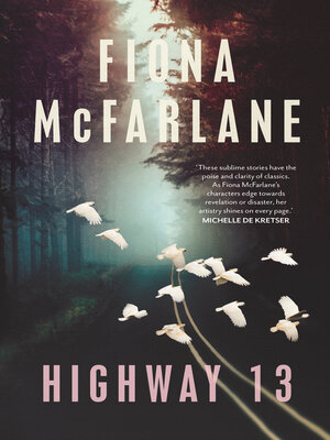 cover image of Highway 13